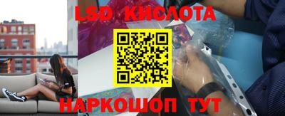 стафф Кандалакша