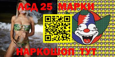 стафф Кандалакша