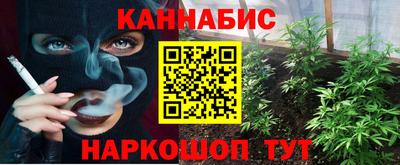 стафф Кандалакша