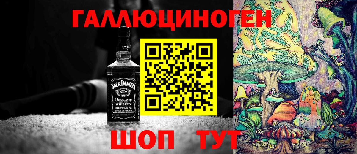 Псилоцибиновые грибы мицелий  Вход с VPN  Элиста 